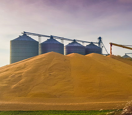/assets/industries/agriculture-2.webp